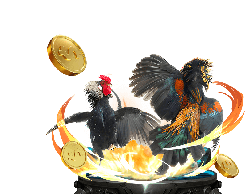 Đá Gà Trực Tiếp 789 win